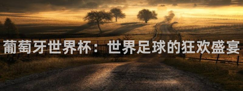 2026世亚预赛赛程表：葡萄牙世界杯：世界足球的狂欢盛宴
