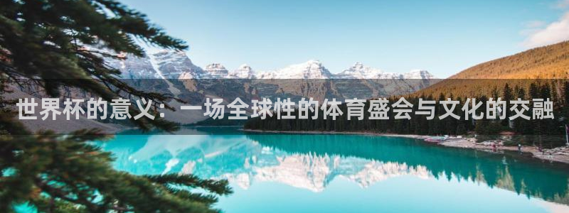 世界杯欧洲区赛程：世界杯的意义：一场全球性的体育盛会与文化的交融
