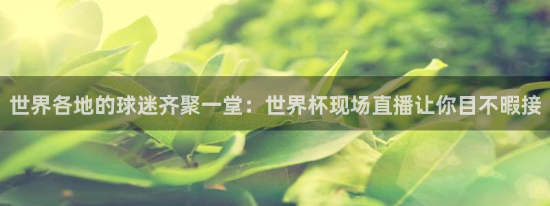 世界杯欧洲预选赛：世界各地的球迷齐聚一堂：世界杯现场直播让你目不暇接