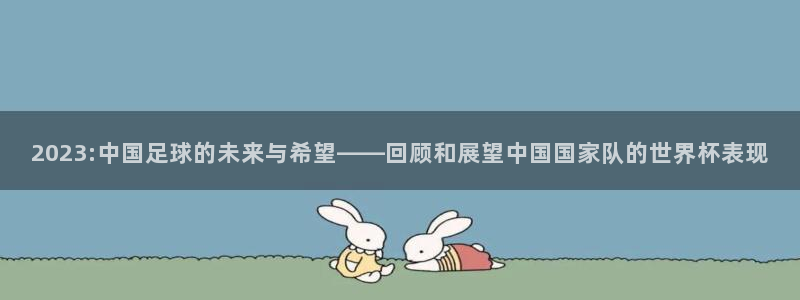 2026世界杯亚洲预选赛赛程：2023:中国足球的未来与希望——回顾和展望中国国家队的世界杯表现