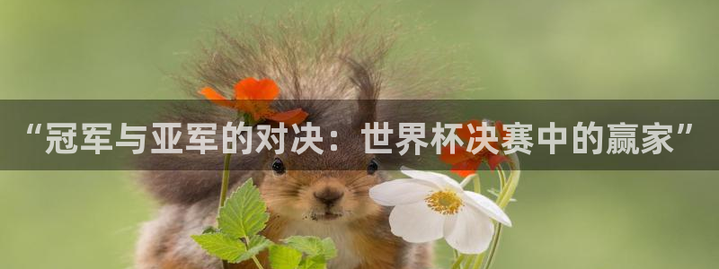 今年的世界杯：“冠军与亚军的对决：世界杯决赛中的赢家”