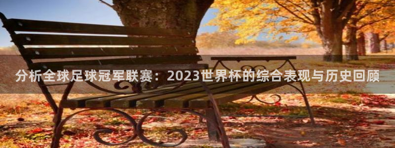 2026男足世界杯：分析全球足球冠军联赛：2023世界杯的综合表现与历史回顾
