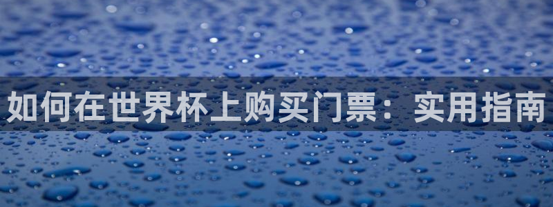 2026世界杯对阵图：如何在世界杯上购买门票：实用指南