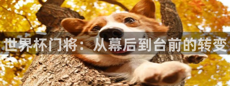 2026世界杯官网：世界杯门将：从幕后到台前的转变