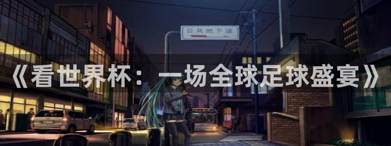 预选赛世界杯：《看世界杯：一场全球足球盛宴》