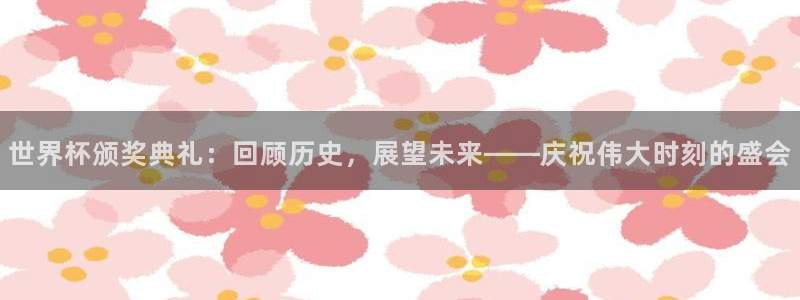 世界杯预选赛2026：世界杯颁奖典礼：回顾历史，展望未来——庆祝伟大时刻的盛会