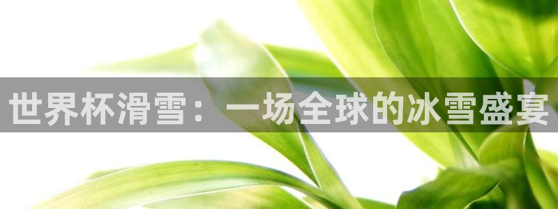 2026足球世界杯赛程：世界杯滑雪：一场全球的冰雪盛宴