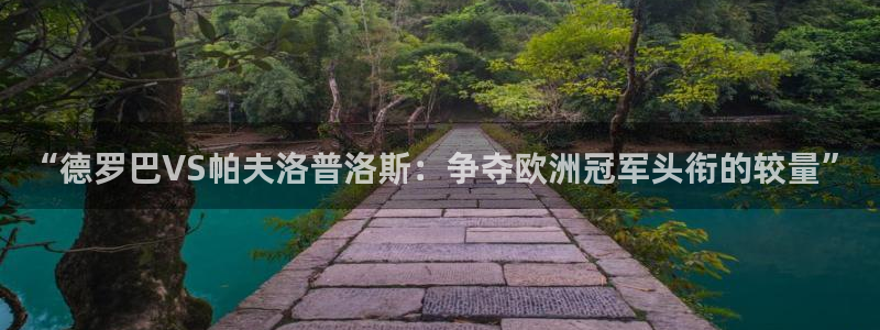 2006年世界杯冠军：“德罗巴VS帕夫洛普洛斯：争夺欧洲冠军头衔的较量”
