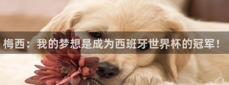 预选赛世界杯：梅西：我的梦想是成为西班牙世界杯的冠军！