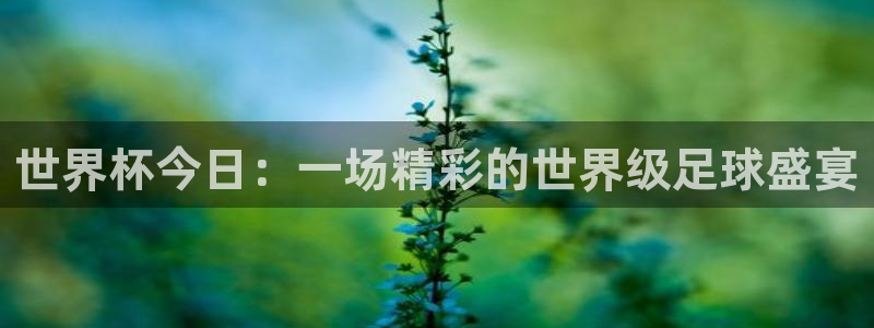联赛杯直播：世界杯今日：一场精彩的世界级足球盛宴