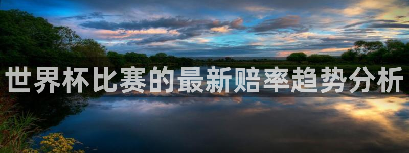 2026世预赛赛程表：世界杯比赛的最新赔率趋势分析