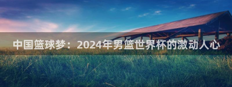 2006年世界杯：中国篮球梦：2024年男篮世界杯的激动人心