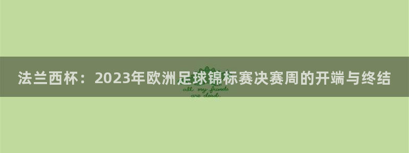 世界杯直播高清：法兰西杯：2023年欧洲足球锦标赛决赛周的开端与终结